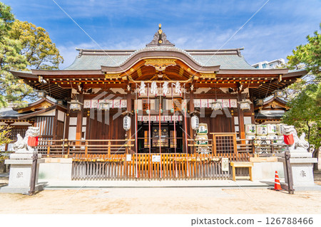 Honsumiyoshi Shrine, worship hall (shrine that enshrines the three Sumiyoshi gods), Sumiyoshimiyacho, Higashinada Ward, Kobe City 126788466