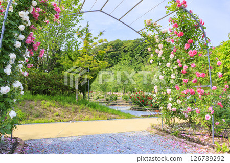 北近畿度假村蟹一番玫瑰園 126789292