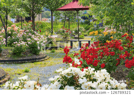 Kitakinki Resort Kaniichiban Rose Garden 126789321