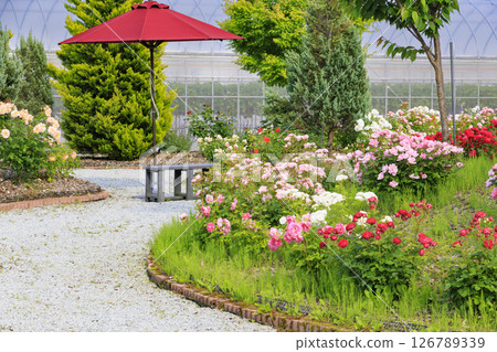 北近畿度假村蟹一番玫瑰園 北近畿度假村蟹一番玫瑰園 126789339