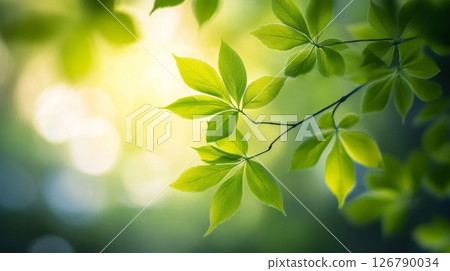 Bright Sunlight on Lush Green Leaves 126790034