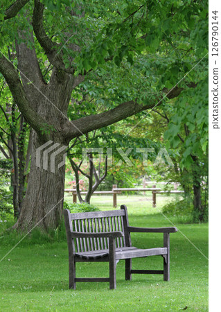 Wooden benches with a nice atmosphere Sapporo's famous flower spot Yurigahara Park Flower Park Wooden benches with a nice atmosphere Sapporo's famous flower spot Yurigahara Park Flower Park 126790144