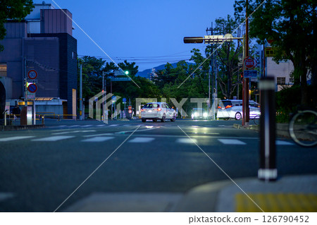 View of the north side of Ohori Park in Chuo Ward, Fukuoka City. Road to the traffic light at the entrance to Nishi Park. Nighttime. 126790452