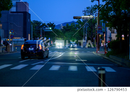 View of the north side of Ohori Park in Chuo Ward, Fukuoka City. Road to the traffic light at the entrance to Nishi Park. Nighttime. 126790453