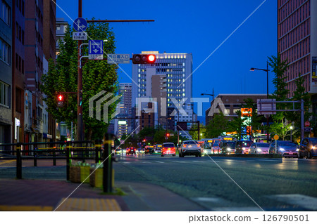 福岡市中央區大濠公園北側的夜景，西公園入口處的交通號誌燈，往天神方向 126790501
