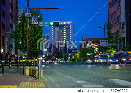 View of the north side of Ohori Park in Chuo Ward, Fukuoka City. Traffic lights at the entrance to Nishi Park, heading towards Tenjin, at night. 126790502