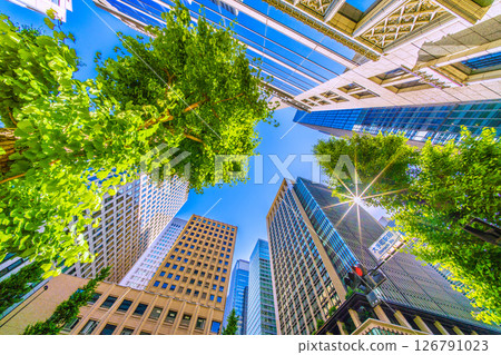 日本東京城市景觀 - 新鮮的綠色植物...從大手町車站前的交叉路口可以看到辦公大樓。新時代的一線希望 126791023