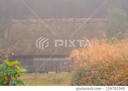 薄町、荻町合掌村、世界遺產、白川鄉、茅草屋頂 薄町、荻町合掌村、世界遺產、白川鄉、茅草屋頂 126791348