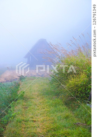 薄町、荻町合掌村、世界遺產、白川鄉、茅草屋頂 薄町、荻町合掌村、世界遺產、白川鄉、茅草屋頂 126791349