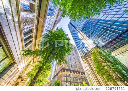 Tokyo cityscape in Japan: Fresh greenery... "Otemachi Station." Overlooking the office buildings. A ray of hope for a new era Tokyo cityscape in Japan: Fresh greenery... "Otemachi Station." Overlooking the office buildings. A ray of hope for a new era 126791531