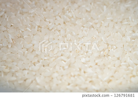 Close-up photo of Japanese rice (stock photo) 126791681