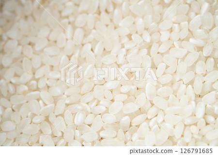 Close-up photo of Japanese rice (stock photo) Close-up photo of Japanese rice (stock photo) 126791685