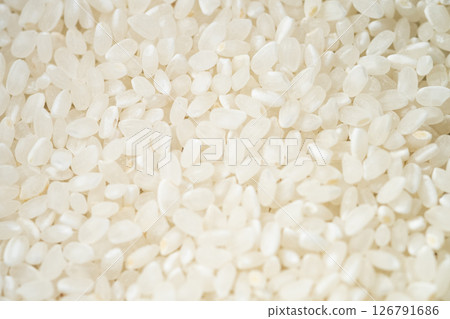 Close-up photo of Japanese rice (stock photo) Close-up photo of Japanese rice (stock photo) 126791686