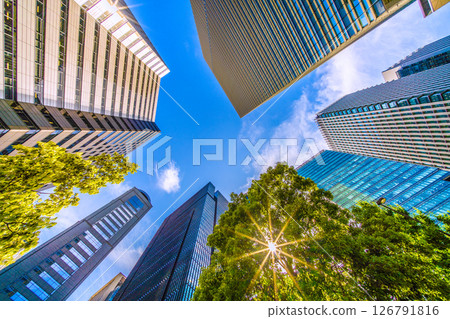 Tokyo cityscape in Japan: Fresh greenery and sunlight filtering through the trees...Otemachi. Views of Otemachi Place and Urbannet Otemachi Building Tokyo cityscape in Japan: Fresh greenery and sunlight filtering through the trees...Otemachi. Views of Otemachi Place and Urbannet Otemachi Building 126791816