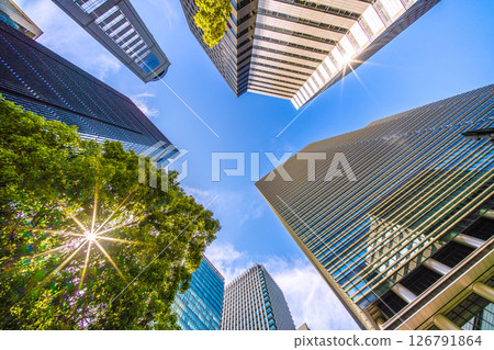 日本東京城市景觀。新鮮的綠色植物和透過樹木的陽光......大手町。大手町廣場和 Urbannet 大手町大廈景觀 日本東京城市景觀。新鮮的綠色植物和透過樹木的陽光......大手町。大手町廣場和 Urbannet 大手町大廈景觀 126791864