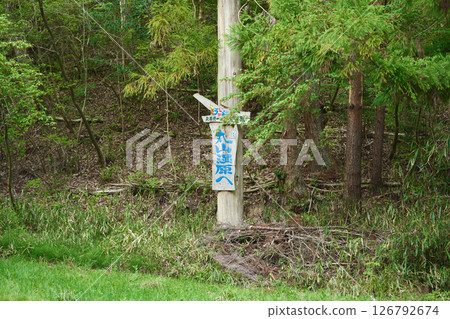 圓山濕地 126792674