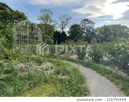 微型花園裡的下午茶時光 126794449