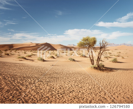 Desert landscape 126794580