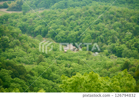 Thatched roof building in the forest 126794832