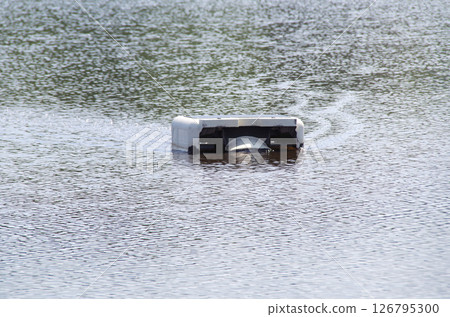 A robot is in operation in a flooded rice field before rice planting, stirring the water as it moves around to suppress the growth of weeds. 126795300