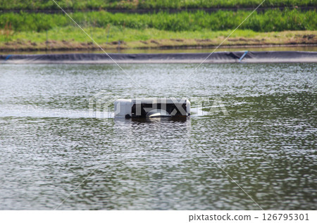 A robot is in operation in a flooded rice field before rice planting, stirring the water as it moves around to suppress the growth of weeds. 126795301