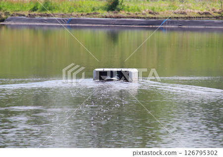 A robot is in operation in a flooded rice field before rice planting, stirring the water as it moves around to suppress the growth of weeds. 126795302