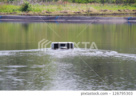 A robot is in operation in a flooded rice field before rice planting, stirring the water as it moves around to suppress the growth of weeds. 126795303