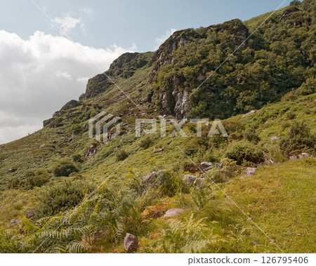Scenic view of Strickeen mountain covered in lush green vegetation in the Gap of Dunloe, County Kerry, Ireland. Scenic view of Strickeen mountain covered in lush green vegetation in the Gap of Dunloe, County Kerry, Ireland. 126795406