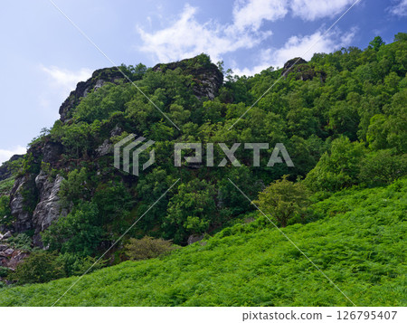 You can see the lower part of Strickeen Mountain. It is covered in trees, shrubs and ferns. The top of the mountain is rocky, with green plants covering most of it under a cloudy sky in Ireland. You can see the lower part of Strickeen Mountain. It is covered in trees, shrubs and ferns. The top of the mountain is rocky, with green plants covering most of it under a cloudy sky in Ireland. 126795407