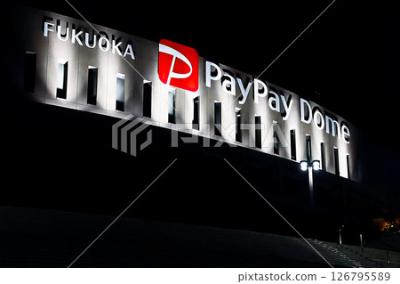福岡縣福岡市福岡 PayPay Dome 126795589