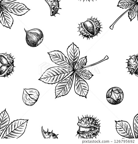 Seamless pattern with chestnuts and chestnut tree leaves. Vector graphics. Black and white hand-drawn illustration. On a white background. Great for textiles and packaging, postcards and labels. 126795692