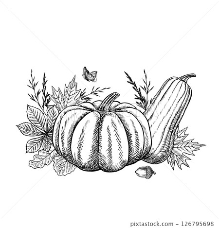Autumn composition with pumpkin and plant elements. Vector graphics. Black and white hand-drawn illustration. For greeting and invitation cards, banners and posters, for stickers and packaging, labels Autumn composition with pumpkin and plant elements. Vector graphics. Black and white hand-drawn illustration. For greeting and invitation cards, banners and posters, for stickers and packaging, labels 126795698