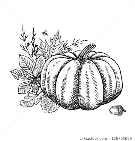 Autumn composition with pumpkin and plant elements. Vector graphics. Black and white hand-drawn illustration. For greeting and invitation cards, banners and posters, for stickers and packaging, labels Autumn composition with pumpkin and plant elements. Vector graphics. Black and white hand-drawn illustration. For greeting and invitation cards, banners and posters, for stickers and packaging, labels 126795699