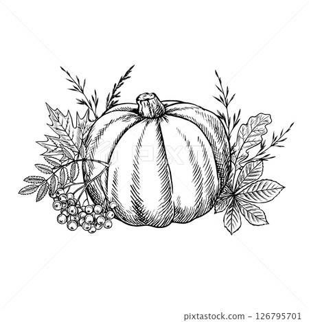 Autumn composition with pumpkin and plant elements. Vector graphics. Black and white hand-drawn illustration. For greeting and invitation cards, banners and posters, for stickers and packaging, labels 126795701