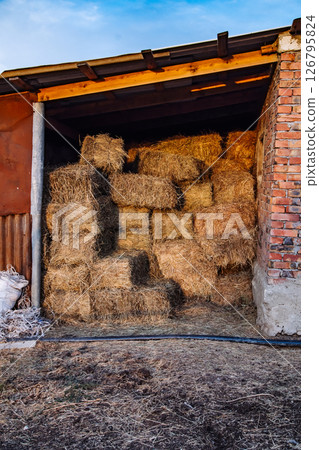 Hay bales stacked in barn in Crimea during golden hour 126795824