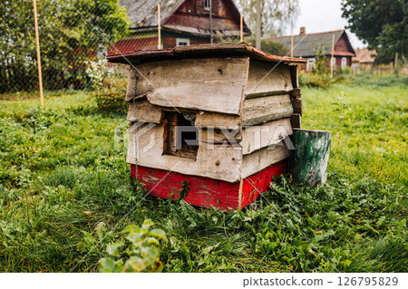 Old wooden doghouse standing in green grass in countryside Old wooden doghouse standing in green grass in countryside 126795829