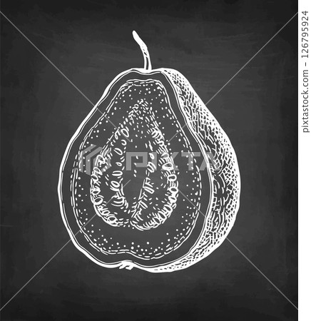 Sliced guava chalk sketch. Sliced guava chalk sketch. 126795924