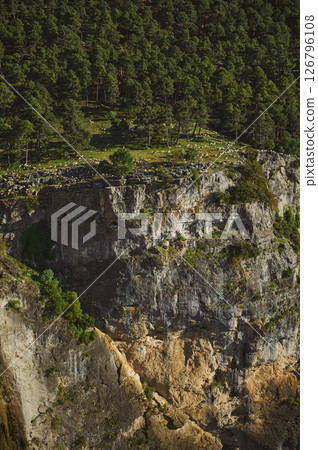 Sheep Grazing Along a Cliffside in a Dense Forest Landscape Sheep Grazing Along a Cliffside in a Dense Forest Landscape 126796108