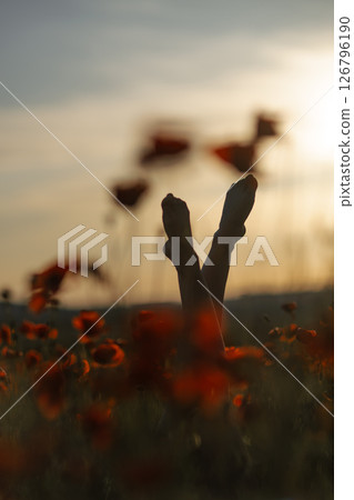 Poppies Legs Sunset: Relaxing person upside down in field during golden hour, peaceful scene. Poppies Legs Sunset: Relaxing person upside down in field during golden hour, peaceful scene. 126796190