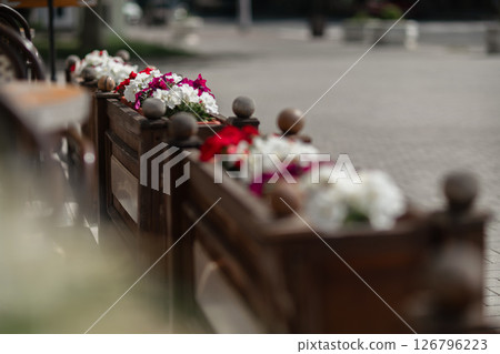 Flowers Planter Outdoor: Petunias grow in box on urban street for decoration, daytime. Flowers Planter Outdoor: Petunias grow in box on urban street for decoration, daytime. 126796223