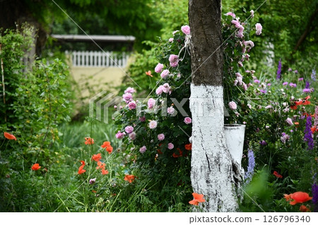 Sunrise Sunrise over a sunflower field with distant treesover a sunflower field Sunrise Sunrise over a sunflower field with distant treesover a sunflower field 126796340