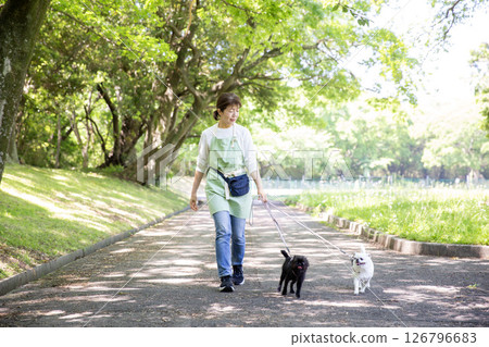 Japanese woman walking a dog Japanese woman walking a dog 126796683
