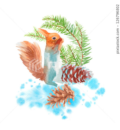 Squirrel, fir branches and cones. Watercolor handmade elements. For fabric, wallpaper, packing paper, greeting cards, design, decoration and illustration. 126796802