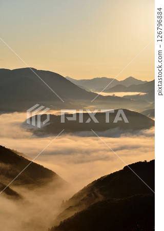 從潮見峠出發的中邊線（熊野古道）的雲海（霧） 126796884