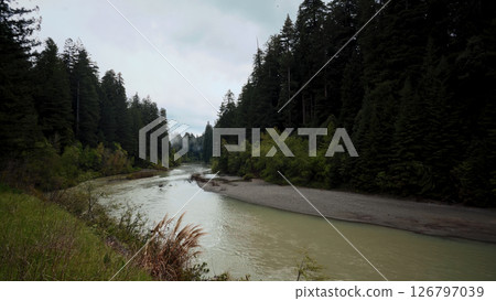 Redwood Creek flowing through Redwood National Park in California Redwood Creek flowing through Redwood National Park in California 126797039