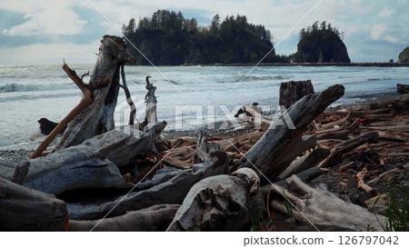 Driftwood covering First Beach in La Push, Washington Driftwood covering First Beach in La Push, Washington 126797042