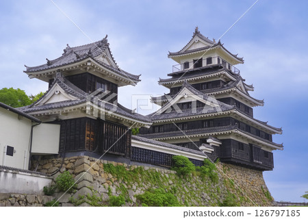 Nakatsu Castle Nakatsu Castle 126797185
