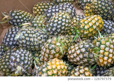 Collection of off-spec and damaged pineapples at production facility with tops removed Collection of off-spec and damaged pineapples at production facility with tops removed 126797379