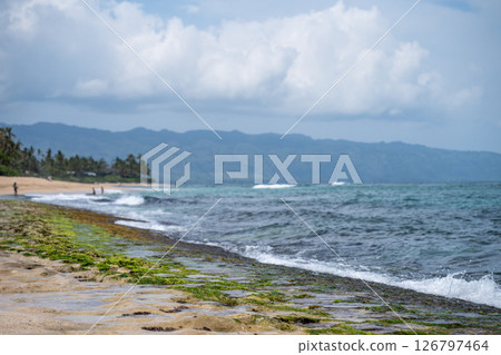 Laniakea Beach at high tide is coming in with waves crashing Laniakea Beach at high tide is coming in with waves crashing 126797464