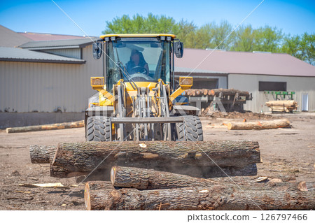 Heavy equipment front loader being used to move logsat a lumber mill 126797466